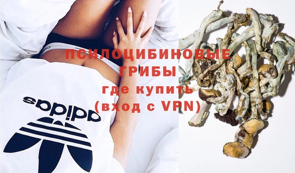 марки nbome Бородино