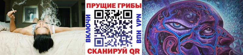наркота  Высоцк  Галлюциногенные грибы Cubensis 