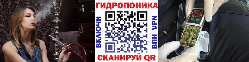darknet какой сайт  Высоцк  МАРИХУАНА ГИДРОПОН 